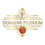 DOMAINE PILENIUM