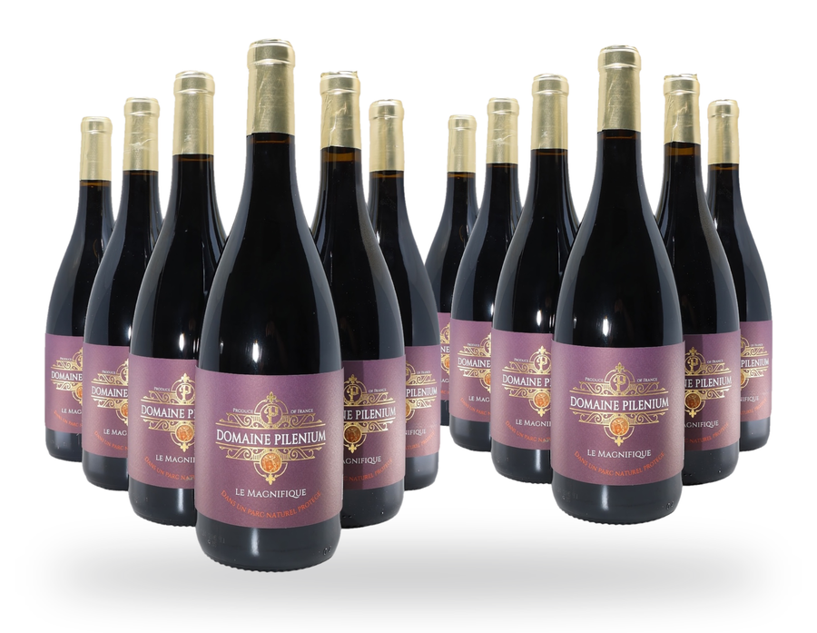 Le Magnifique 2023 - Syrah Mourvèdre – Vin Rouge Bio – AOP Corbières – Lot de 12 Bouteilles 75cl