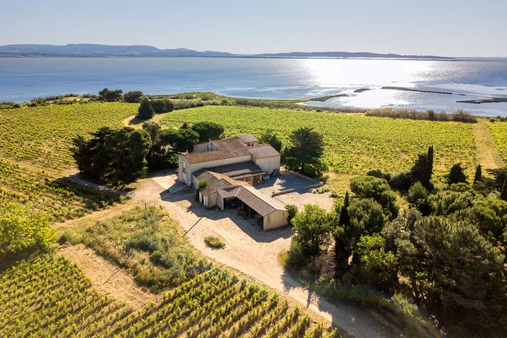 Vignoble du Domaine Pilenium — péninsule de Peyriac-de-Mer, Corbières maritimes