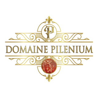 DOMAINE PILENIUM