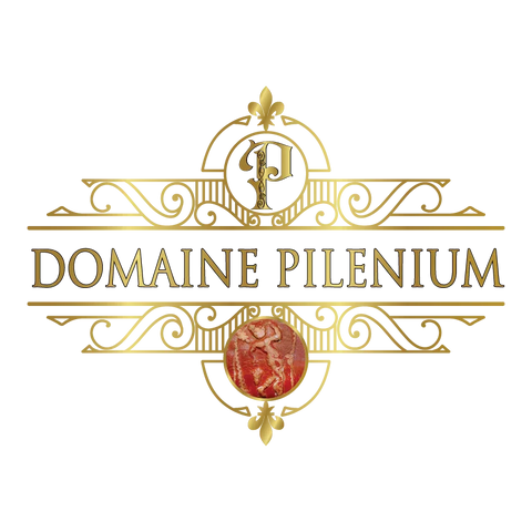 DOMAINE PILENIUM