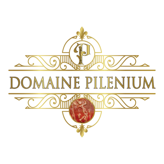 DOMAINE PILENIUM
