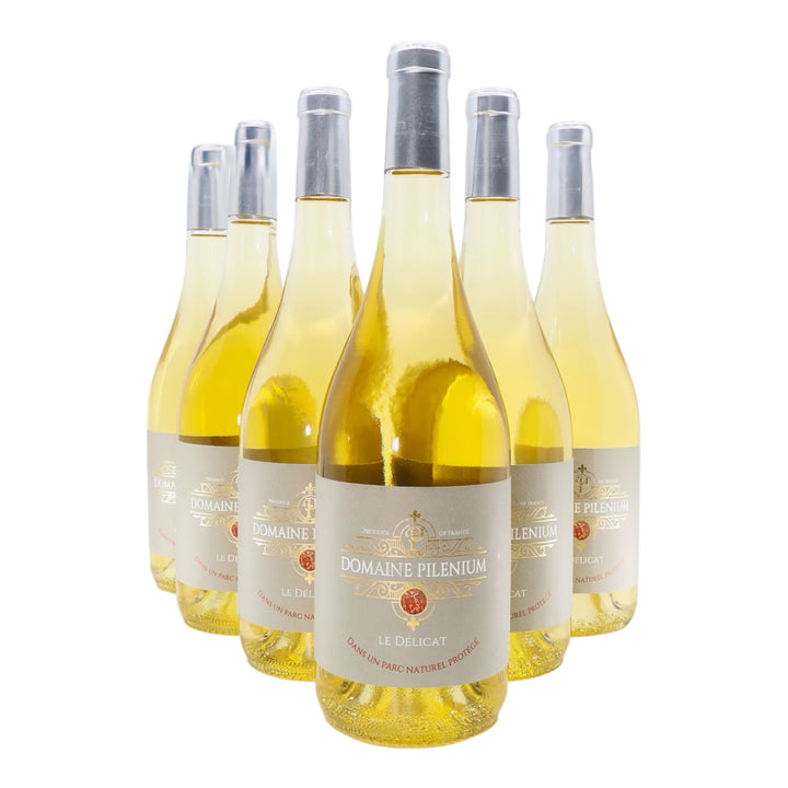 Le Délicat – 2023 – Rolle & Bourboulenc – Blanc – Bio – AOP Corbières – 6x75cl - DOMAINE PILENIUM