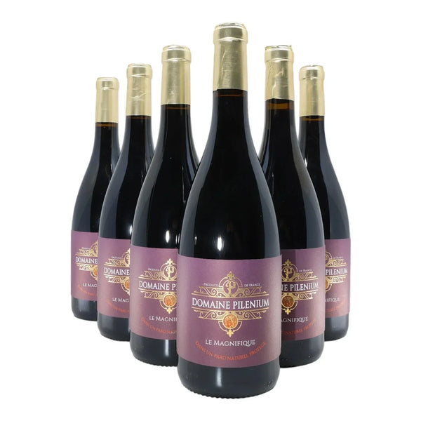 Le Magnifique 2023 - Syrah Mourvèdre – Vin Rouge Bio – AOP Corbières – Lot de 6 Bouteilles 75cl