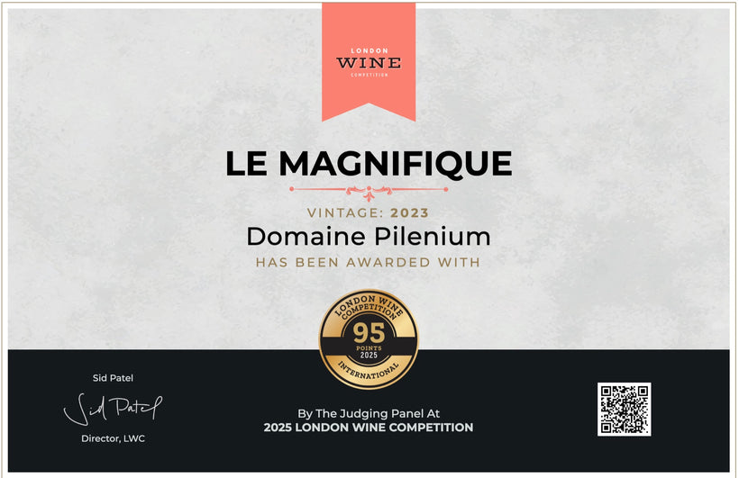 Official certificate · London Wine Competition 2025 — Le Magnifique 2023, Gold Medal 95/100 — Domaine Pilenium