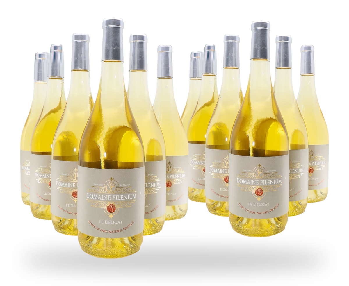 Le Délicat 2023 – 베르멘티노·부르불랑 – AOP 코르비에르 유기농 화이트 와인 – 75cl 12병