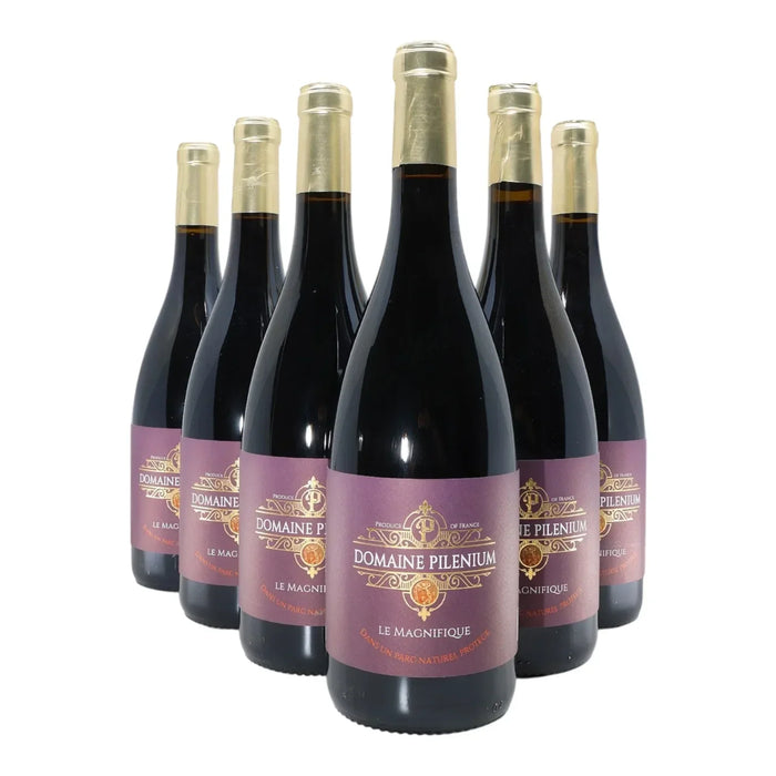 Le Magnifique 2023 - Syrah Mourvèdre – Vin Rouge Bio – AOP Corbières – Lot de 6 Bouteilles 75cl