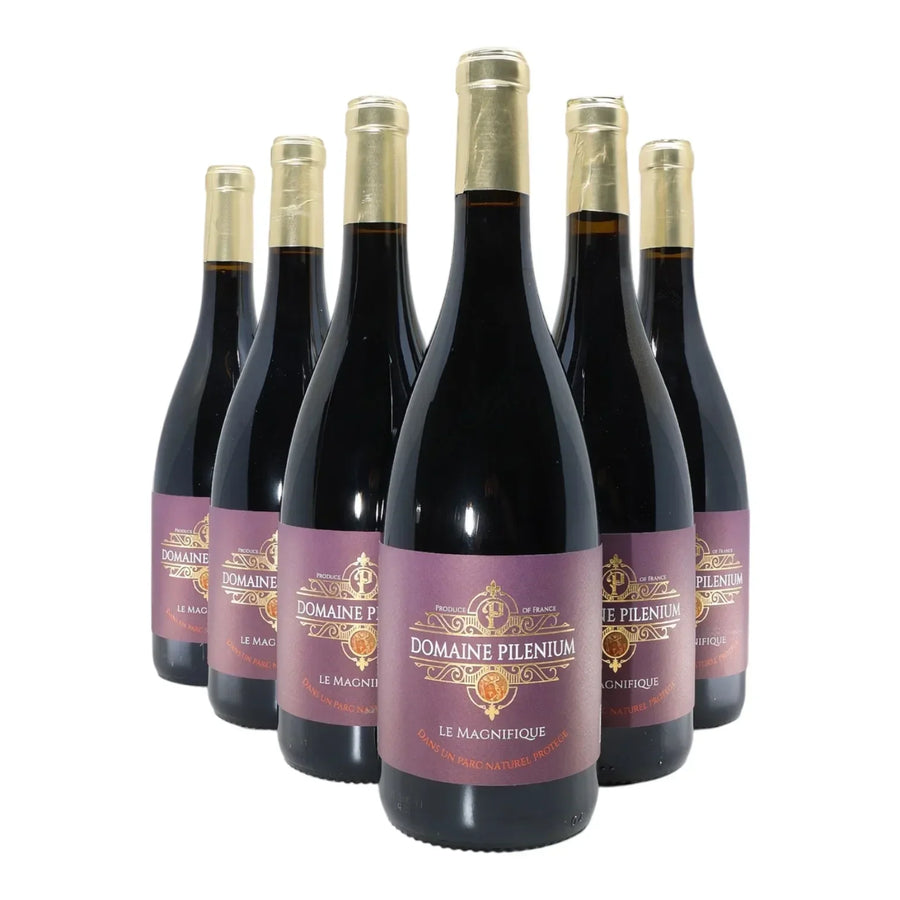 Le Magnifique 2023 - Syrah Mourvèdre – Vin Rouge Bio – AOP Corbières – Lot de 6 Bouteilles 75cl