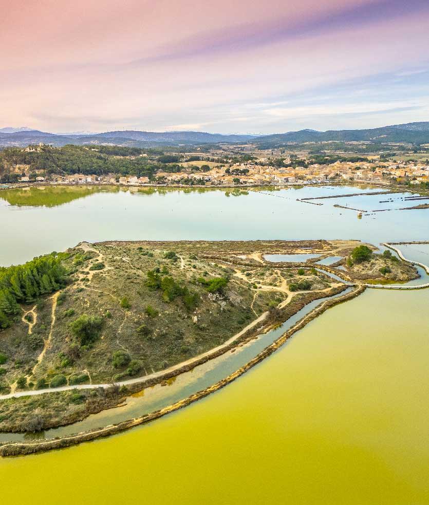 Le Terroir — Domaine Pilenium, AOP Corbières