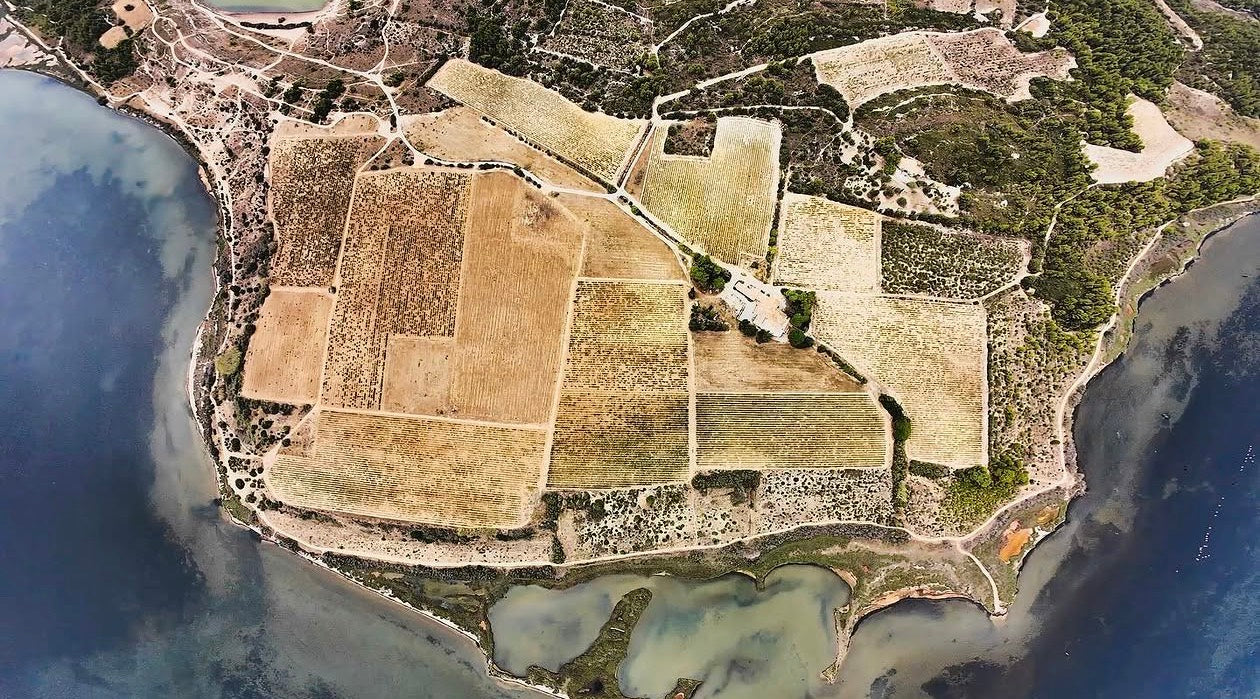 Vue aérienne du Domaine Pilenium : vingt hectares de vignes sur une presqu'île cernée par les étangs — AOP Corbières maritime