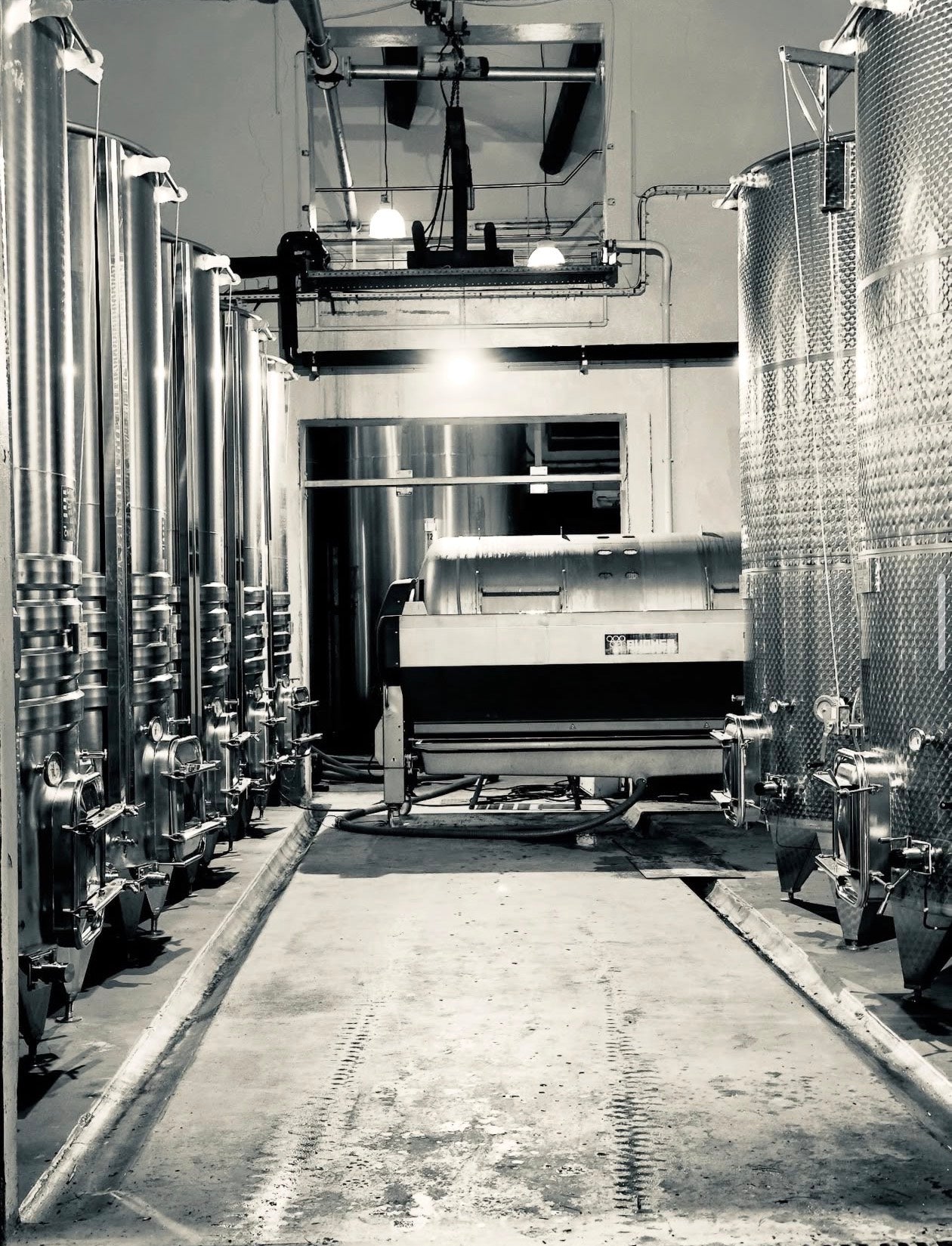 Le chai du Domaine Pilenium en noir et blanc : cuves inox et pressoir de vinification biologique — AOP Corbières